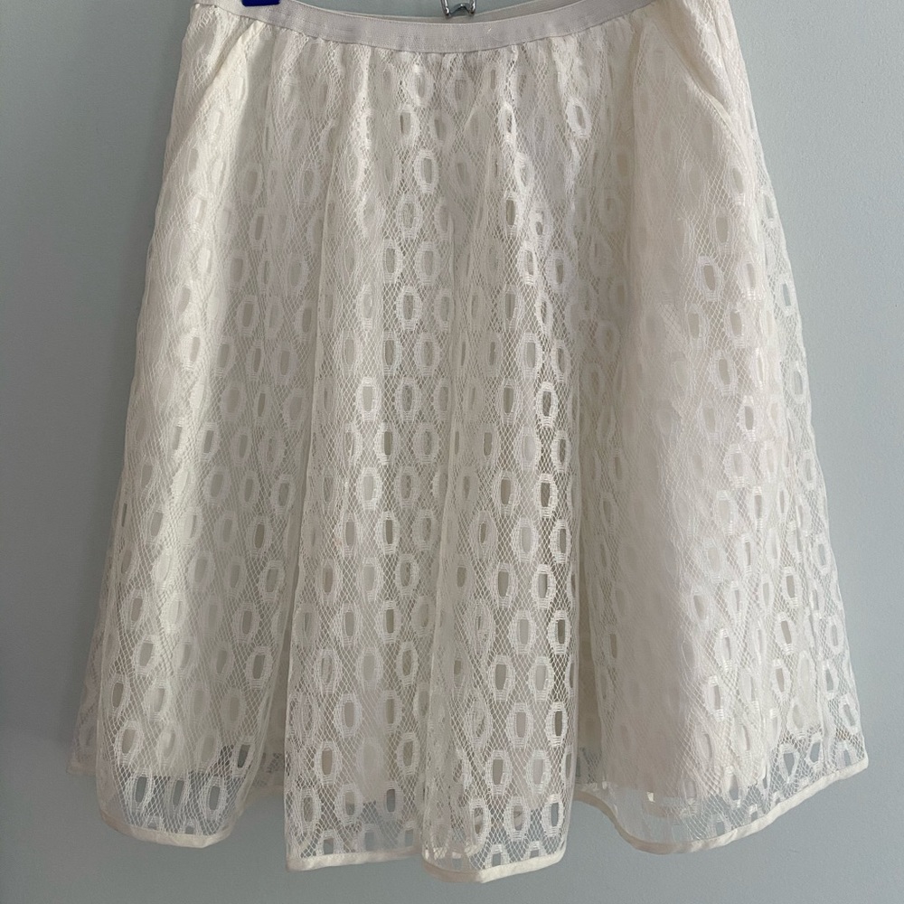 Anthropologie skirt